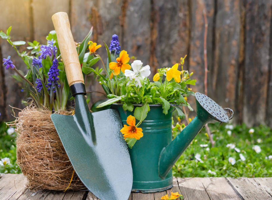 wiosenne porządki w ogrodzie_narzędzia, które pomagają dbać o ogród wiosną